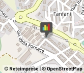 Palestre e Centri Fitness,61032Pesaro e Urbino