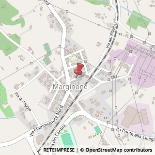 Mappa Via A. Gramsci, 4, 55011 Altopascio, Lucca (Toscana)
