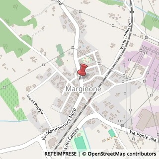 Mappa Via Mammianese Nord, 29, 55011 Altopascio, Lucca (Toscana)