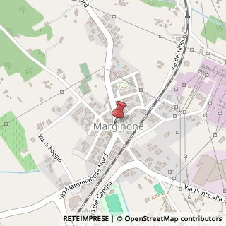 Mappa Piazza matteotti giacomo 11, 51017 Altopascio, Lucca (Toscana)