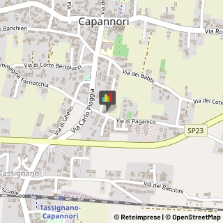 Consulenza Informatica,55012Lucca