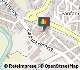 Palestre e Centri Fitness,61032Pesaro e Urbino