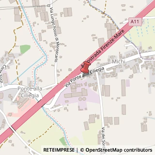 Mappa Via del Ponte alla Ciliegia, 31, 55011 Altopascio, Lucca (Toscana)