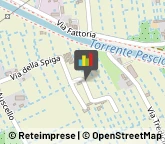 Imprese di Pulizia,50129Pistoia