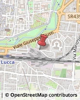 Via Nazario Sauro, 118,55100Lucca