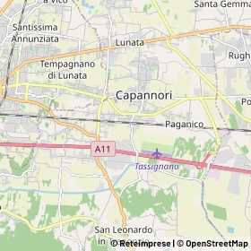 Mappa Capannori