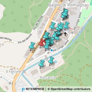 Mappa Via Casentinese, 47021 Bagno di Romagna FC, Italia (0.088)