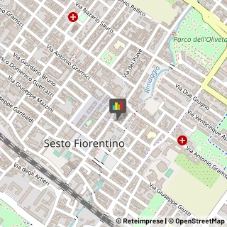 Piante e Fiori - Ingrosso,50019Firenze