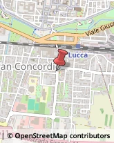 Via della Formica, 114,55100Lucca