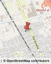 Via della Caserma, 26,55049Viareggio