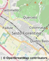 Psicologi Sesto Fiorentino,50019Firenze