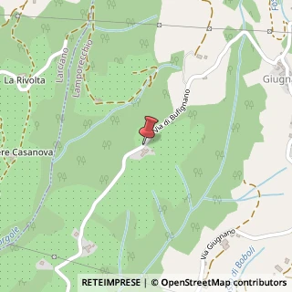Mappa Via di Carbonara, 22, 51035 Lamporecchio, Pistoia (Toscana)