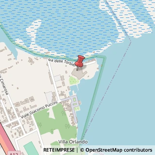 Mappa Via delle Torbiere, 55049 Torre del Lago Puccini LU, Italia, 55049 Viareggio, Lucca (Toscana)