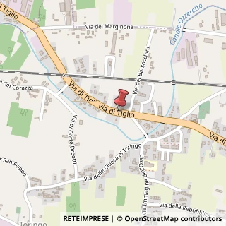 Mappa Via di Tiglio in Pieve San Paolo, 34, 55012 Capannori, Lucca (Toscana)