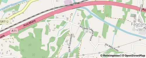 Mappa Lucca