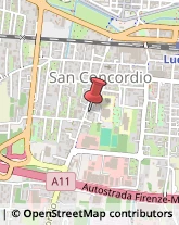 Viale S. Concordio, 485,55100Lucca