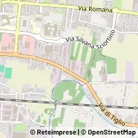 Carte Lucca