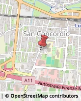 Viale San Concordio, 531,55100Lucca