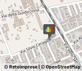 Consulenza Informatica Viareggio,55049Lucca