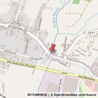 Mappa Via Romana Est, 201, 55016 Porcari, Lucca (Toscana)