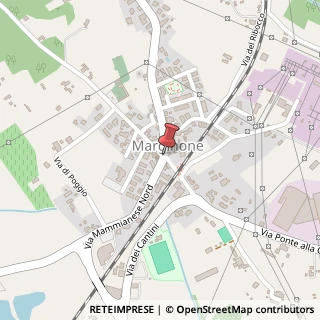 Mappa Via Mammianese Sud,  15, 55010 Altopascio, Lucca (Toscana)