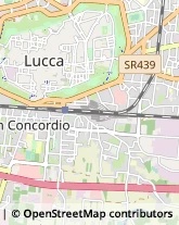 Via di Tiglio, 400,55100Lucca