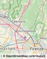 Aziende Agricole Calenzano,50041Firenze