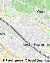 Aziende Agricole Sesto Fiorentino,50019Firenze