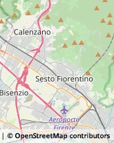 Aziende Agricole Sesto Fiorentino,50019Firenze