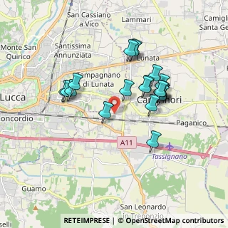 Mappa Via del Marginone, 55012 Capannori LU, Italia (1.6655)