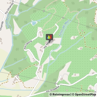 Agriturismi Larciano,51036Pistoia