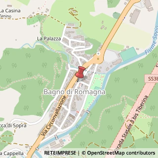 Mappa Via Daniele Manin, 87, 47021 Bagno di Romagna, Forlì-Cesena (Emilia Romagna)