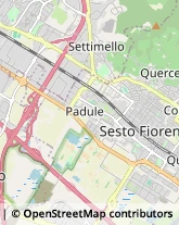 Trasporti Sesto Fiorentino,50019Firenze