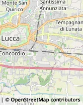 Omeopatia Lucca,55100Lucca