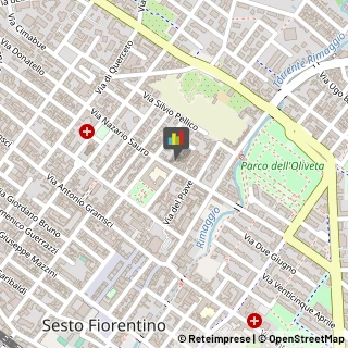 Pranoterapia - Benessere,50019Firenze