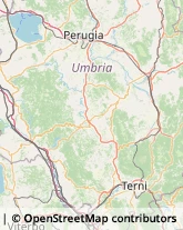 Liquori - Vendita Orvieto,05018Terni