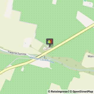 Caseifici Siracusa,96100Siracusa