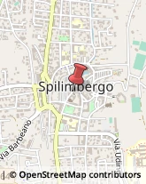 Via Giuseppe Mazzini, 3,33097Spilimbergo