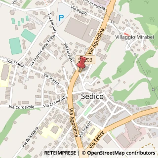 Mappa Via Agordina, 3, 32036 Sedico, Belluno (Veneto)