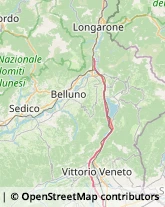 Asili Nido Belluno,32100Belluno