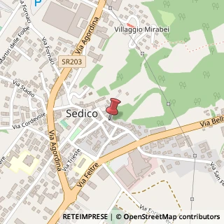 Mappa Via delle Fontane, 9, 32036 Sedico, Belluno (Veneto)