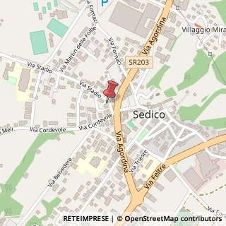 Mappa Via Stadio, 1, 32036 Sedico, Belluno (Veneto)