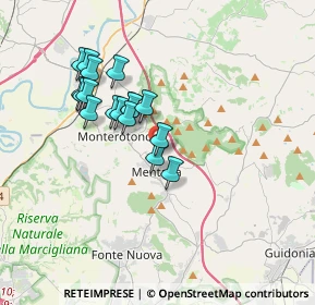 Mappa Via Ottorino Respighi, 00013 Mentana RM, Italia (3.20059)