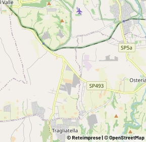 Mappa Strada Statale 493, 00061 Anguillara Sabazia RM, Italia (1.228)