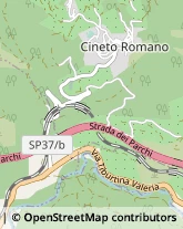 Ottica, Occhiali e Lenti a Contatto - Dettaglio Carsoli,67061L'Aquila