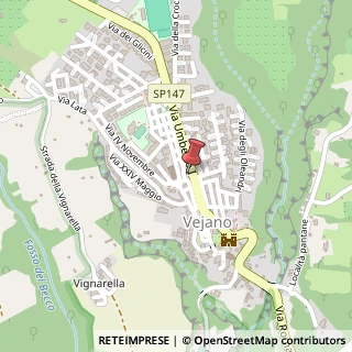 Mappa Via Umberto, 48, 01010 Vejano, Viterbo (Lazio)