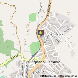 Piante e Fiori - Dettaglio,00068Roma