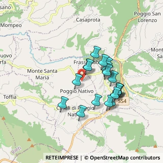 Mappa Viale Roma, 02030 Poggio Nativo RI, Italia (1.589)
