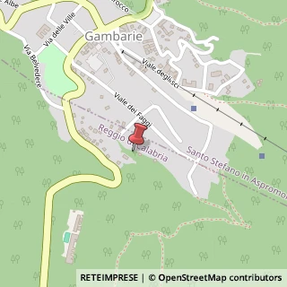 Mappa Via delle Ginestre, 17, 89057 Santo Stefano in Aspromonte, Reggio di Calabria (Calabria)