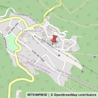 Mappa Viale degli Sci, 10, 89057 Santo Stefano in Aspromonte, Reggio di Calabria (Calabria)